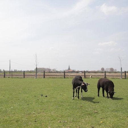 Gasthof Schraevenacker Vleteren Bagian luar foto